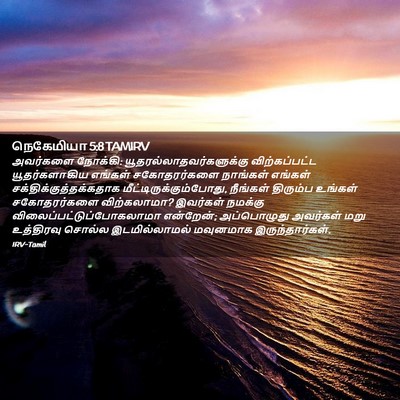 Picture 02 - நெகேமியா 5:8 TAMIRV - அவர்களை நோக்கி: - Bible Verse Picture