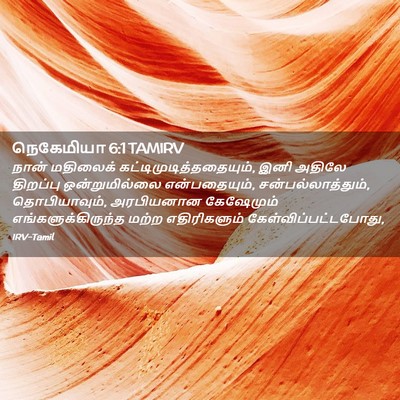 Picture 02 - நெகேமியா 6:1 TAMIRV - நான் மதிலைக் - Bible Verse Picture