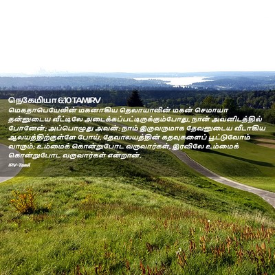 Picture 02 - நெகேமியா 6:10 TAMIRV - மெகதாபெயேலின் - Bible Verse Picture