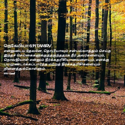 Picture 02 - நெகேமியா 6:14 TAMIRV - என்னுடைய தேவனே, - Bible Verse Picture