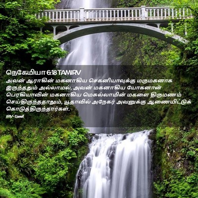 Picture 02 - நெகேமியா 6:18 TAMIRV - அவன் ஆராகின் - Bible Verse Picture