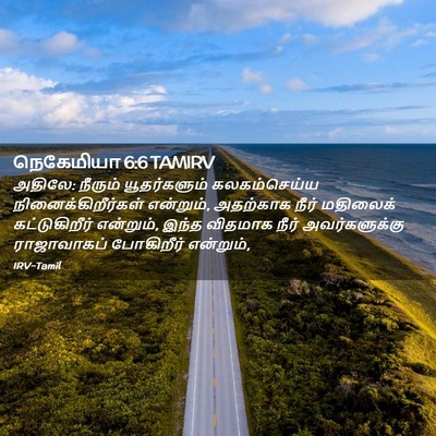 Picture 02 - நெகேமியா 6:6 TAMIRV - அதிலே: நீரும் - Bible Verse Picture