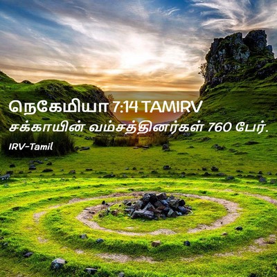 Picture 02 - நெகேமியா 7:14 TAMIRV - சக்காயின் - Bible Verse Picture