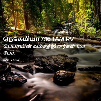 Picture 02 - நெகேமியா 7:16 TAMIRV - பெபாயின் - Bible Verse Picture
