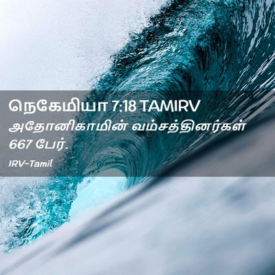 Picture 02 - நெகேமியா 7:18 TAMIRV - அதோனிகாமின் - Bible Verse Picture