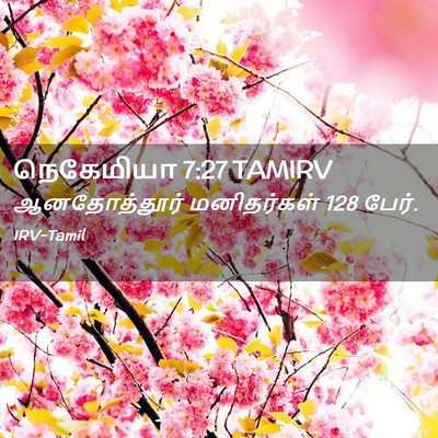 Picture 02 - நெகேமியா 7:27 TAMIRV - ஆனதோத்தூர் - Bible Verse Picture
