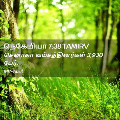 Picture 02 - நெகேமியா 7:38 TAMIRV - செனாகா - Bible Verse Picture