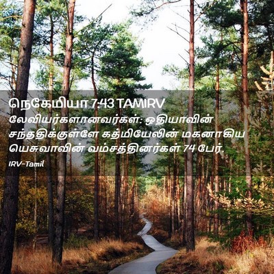 Picture 02 - நெகேமியா 7:43 TAMIRV -  - Bible Verse Picture