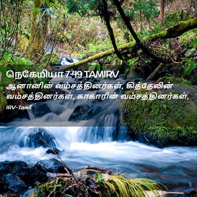 Picture 02 - நெகேமியா 7:49 TAMIRV - ஆனானின் - Bible Verse Picture