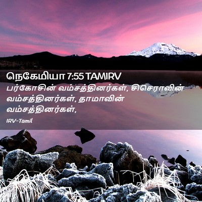 Picture 02 - நெகேமியா 7:55 TAMIRV - பர்கோசின் - Bible Verse Picture