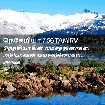 Picture 02 - நெகேமியா 7:56 TAMIRV - நெத்சியாகின் - Bible Verse Picture