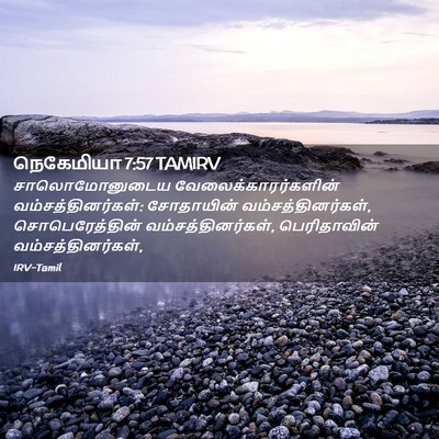 Picture 02 - நெகேமியா 7:57 TAMIRV - சாலொமோனுடைய - Bible Verse Picture