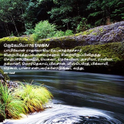 Picture 02 - நெகேமியா 7:6 TAMIRV - பாபிலோன் - Bible Verse Picture