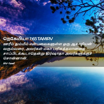 Picture 02 - நெகேமியா 7:65 TAMIRV - ஊரீம் தும்மீம் - Bible Verse Picture