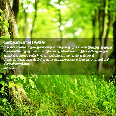 Picture 02 - நெகேமியா 8:1 TAMIRV - மக்கள் எல்லோரும் - Bible Verse Picture