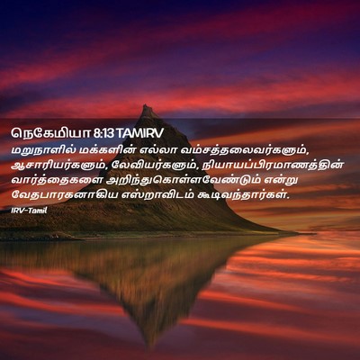 Picture 02 - நெகேமியா 8:13 TAMIRV - மறுநாளில் - Bible Verse Picture