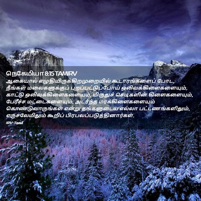 Picture 02 - நெகேமியா 8:15 TAMIRV - ஆகையால் - Bible Verse Picture