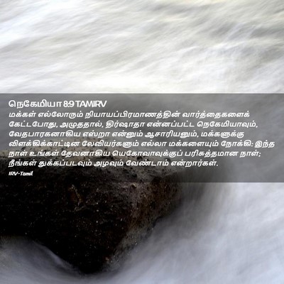 Picture 02 - நெகேமியா 8:9 TAMIRV - மக்கள் எல்லோரும் - Bible Verse Picture