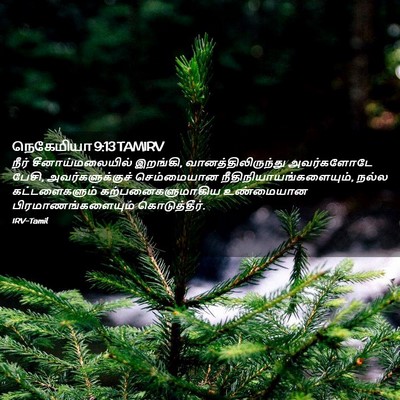 Picture 02 - நெகேமியா 9:13 TAMIRV - நீர் - Bible Verse Picture