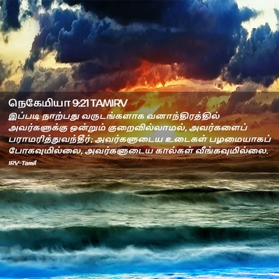 Picture 02 - நெகேமியா 9:21 TAMIRV - இப்படி நாற்பது - Bible Verse Picture
