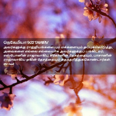 Picture 02 - நெகேமியா 9:22 TAMIRV - அவர்களுக்கு - Bible Verse Picture