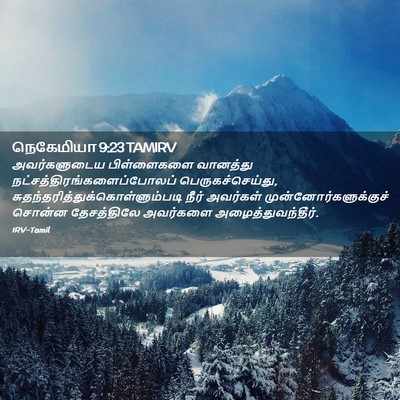 Picture 02 - நெகேமியா 9:23 TAMIRV - அவர்களுடைய - Bible Verse Picture