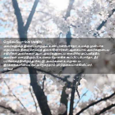Picture 02 - நெகேமியா 9:28 TAMIRV - அவர்களுக்கு - Bible Verse Picture