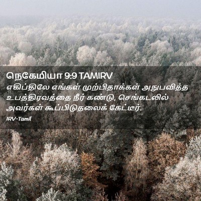 Picture 02 - நெகேமியா 9:9 TAMIRV - எகிப்திலே எங்கள் - Bible Verse Picture