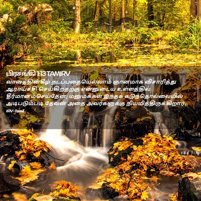 Picture 02 - பிரசங்கி 1:13 TAMIRV - வானத்தின்கீழ் - Bible Verse Picture