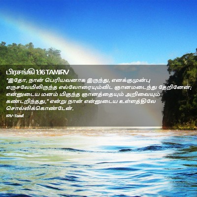 Picture 02 - பிரசங்கி 1:16 TAMIRV - “இதோ, நான் - Bible Verse Picture