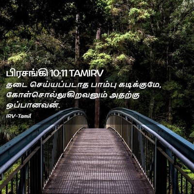 Picture 02 - பிரசங்கி 10:11 TAMIRV - தடை செய்யப்படாத - Bible Verse Picture
