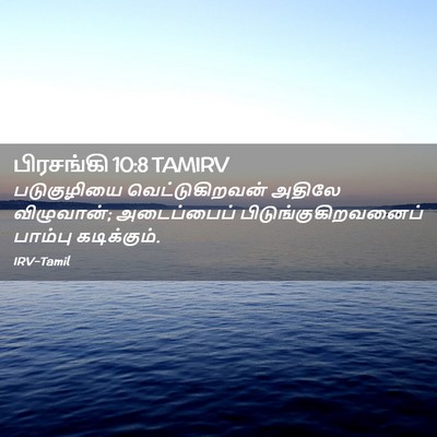 Picture 02 - பிரசங்கி 10:8 TAMIRV - படுகுழியை - Bible Verse Picture