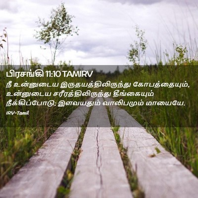 Picture 02 - பிரசங்கி 11:10 TAMIRV - நீ உன்னுடைய - Bible Verse Picture