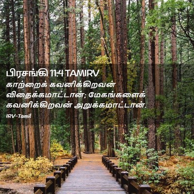 Picture 02 - பிரசங்கி 11:4 TAMIRV - காற்றைக் - Bible Verse Picture