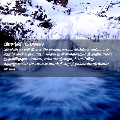 Picture 02 - பிரசங்கி 11:5 TAMIRV - ஆவியின் வழி - Bible Verse Picture