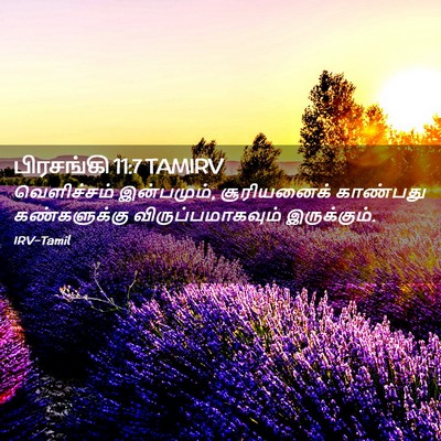 Picture 02 - பிரசங்கி 11:7 TAMIRV - வெளிச்சம் - Bible Verse Picture