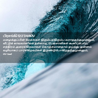 Picture 02 - பிரசங்கி 12:3 TAMIRV - மழைக்குப்பின் - Bible Verse Picture