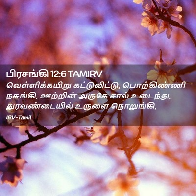 Picture 02 - பிரசங்கி 12:6 TAMIRV - வெள்ளிக்கயிறு - Bible Verse Picture
