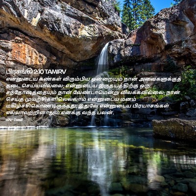 Picture 02 - பிரசங்கி 2:10 TAMIRV - என்னுடைய கண்கள் - Bible Verse Picture
