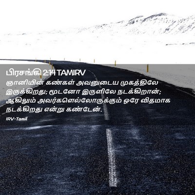 Picture 02 - பிரசங்கி 2:14 TAMIRV - ஞானியின் கண்கள் - Bible Verse Picture