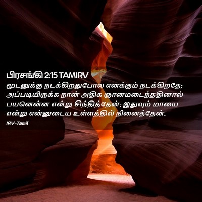 Picture 02 - பிரசங்கி 2:15 TAMIRV - மூடனுக்கு - Bible Verse Picture