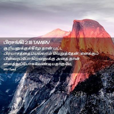 Picture 02 - பிரசங்கி 2:18 TAMIRV -  - Bible Verse Picture