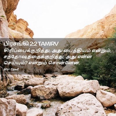 Picture 02 - பிரசங்கி 2:2 TAMIRV -  - Bible Verse Picture