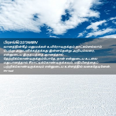 Picture 02 - பிரசங்கி 2:3 TAMIRV - வானத்தின்கீழ் - Bible Verse Picture