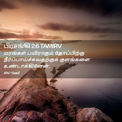 Picture 02 - பிரசங்கி 2:6 TAMIRV - மரங்கள் பயிராகும் - Bible Verse Picture