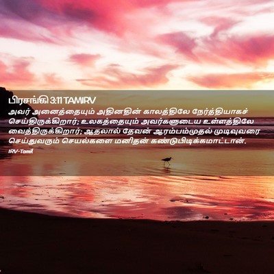 Picture 02 - பிரசங்கி 3:11 TAMIRV - அவர் அனைத்தையும் - Bible Verse Picture