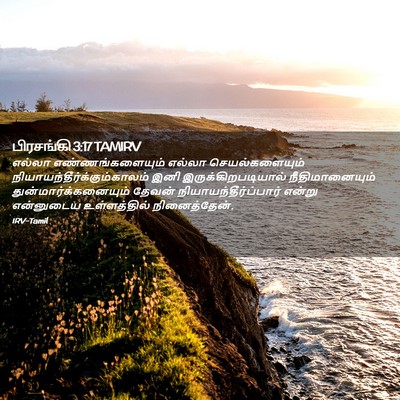 Picture 02 - பிரசங்கி 3:17 TAMIRV - எல்லா - Bible Verse Picture