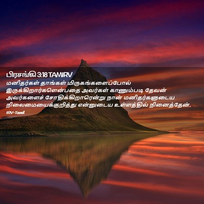 Picture 02 - பிரசங்கி 3:18 TAMIRV - மனிதர்கள் தாங்கள் - Bible Verse Picture