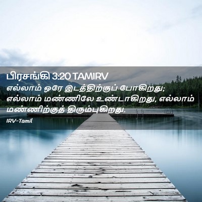 Picture 02 - பிரசங்கி 3:20 TAMIRV - எல்லாம் ஒரே - Bible Verse Picture