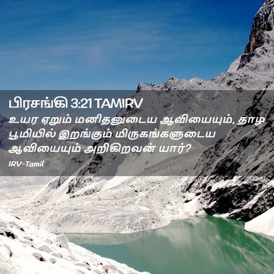 Picture 02 - பிரசங்கி 3:21 TAMIRV - உயர ஏறும் - Bible Verse Picture